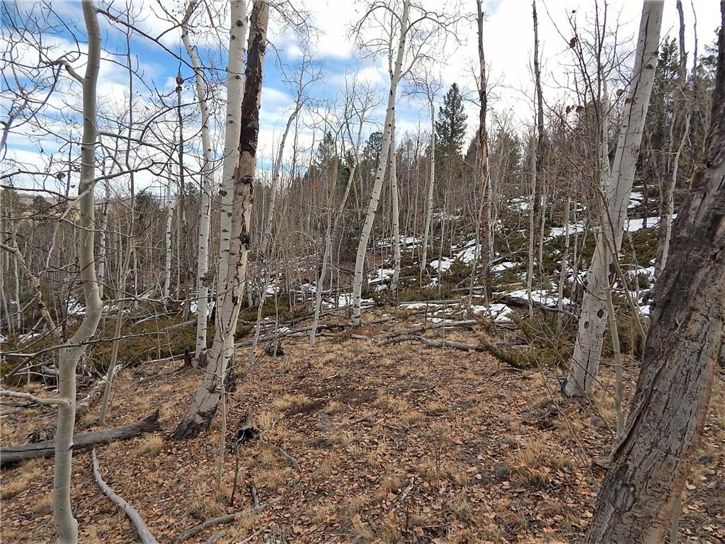 4357 Atila Road Hartsel, CO 80449 - Photo 20 of 35 Gallery Image 20