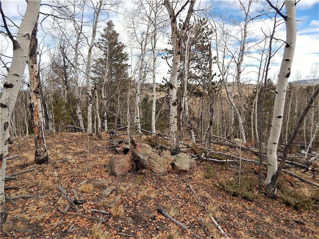 4357 Atila Road Hartsel, CO 80449 - Photo 21 of 35 Gallery Image 21
