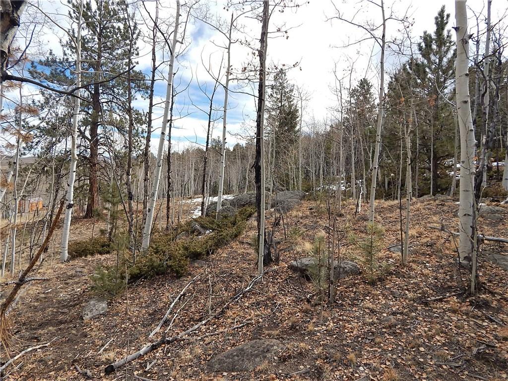 4357 Atila Road Hartsel, CO 80449 - Photo 23 of 35 Gallery Image 23
