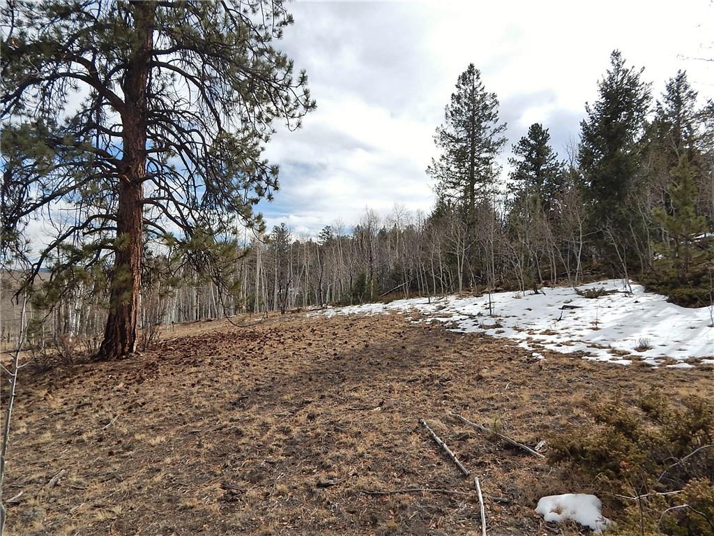 4357 Atila Road Hartsel, CO 80449 - Photo 24 of 35 Gallery Image 24