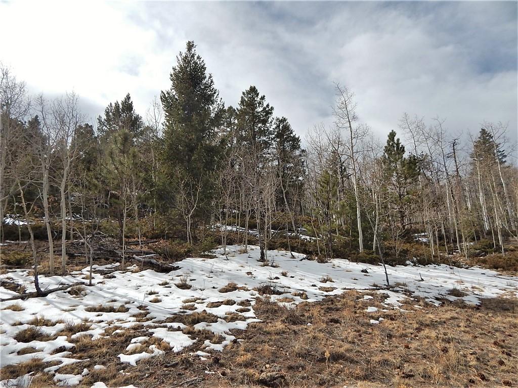 4357 Atila Road Hartsel, CO 80449 - Photo 25 of 35 Gallery Image 25