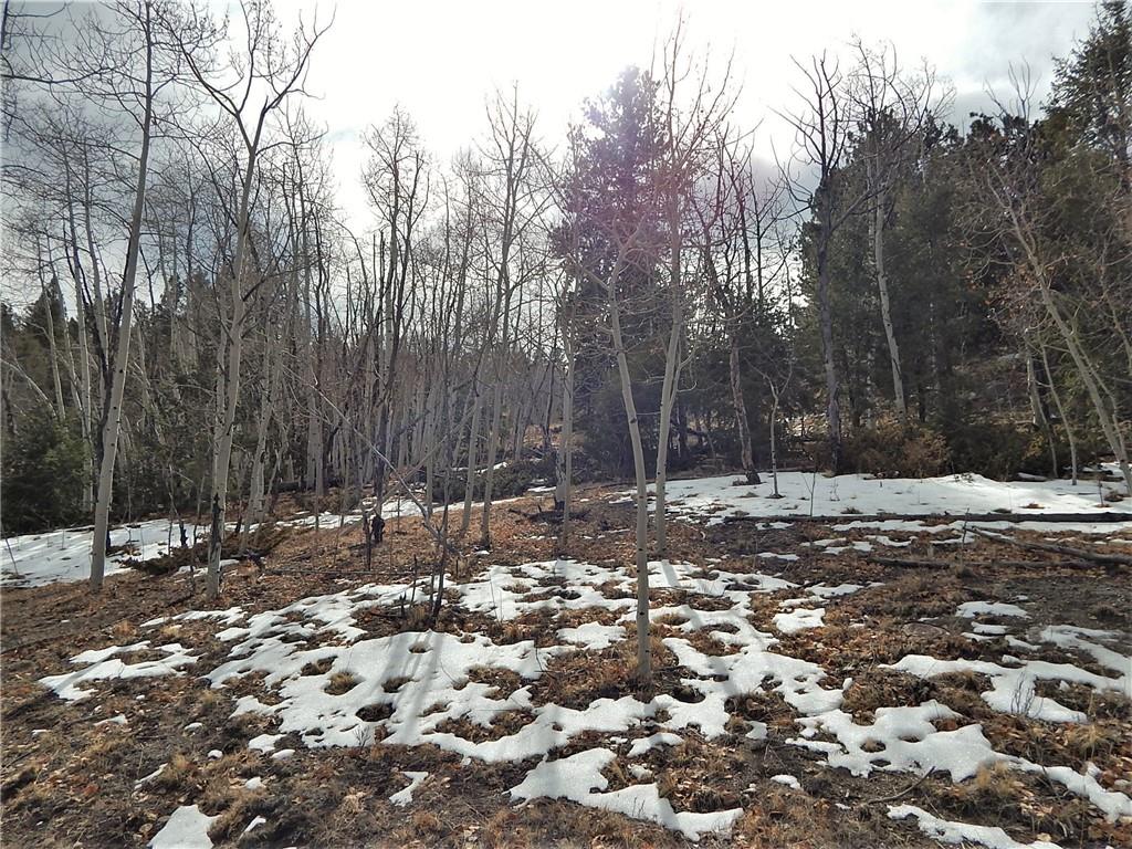 4357 Atila Road Hartsel, CO 80449 - Photo 26 of 35 Gallery Image 26