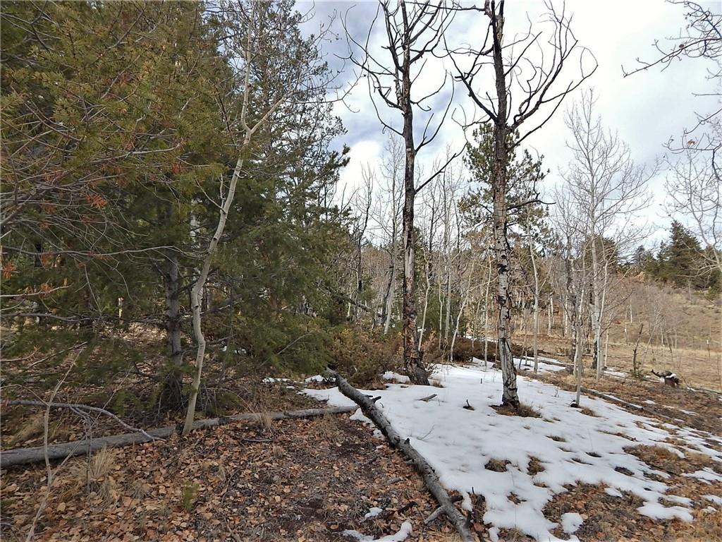 4357 Atila Road Hartsel, CO 80449 - Photo 27 of 35 Gallery Image 27