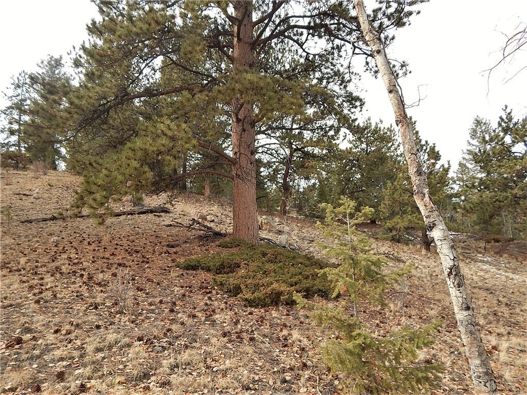 4357 Atila Road Hartsel, CO 80449 - Photo 30 of 35 Gallery Image 30