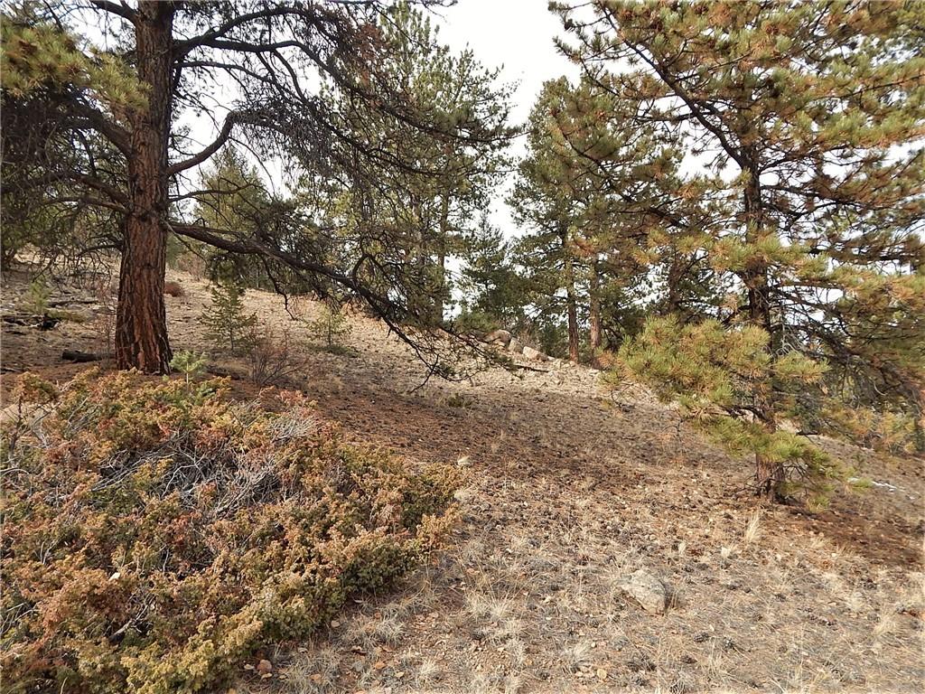 4357 Atila Road Hartsel, CO 80449 - Photo 31 of 35 Gallery Image 31