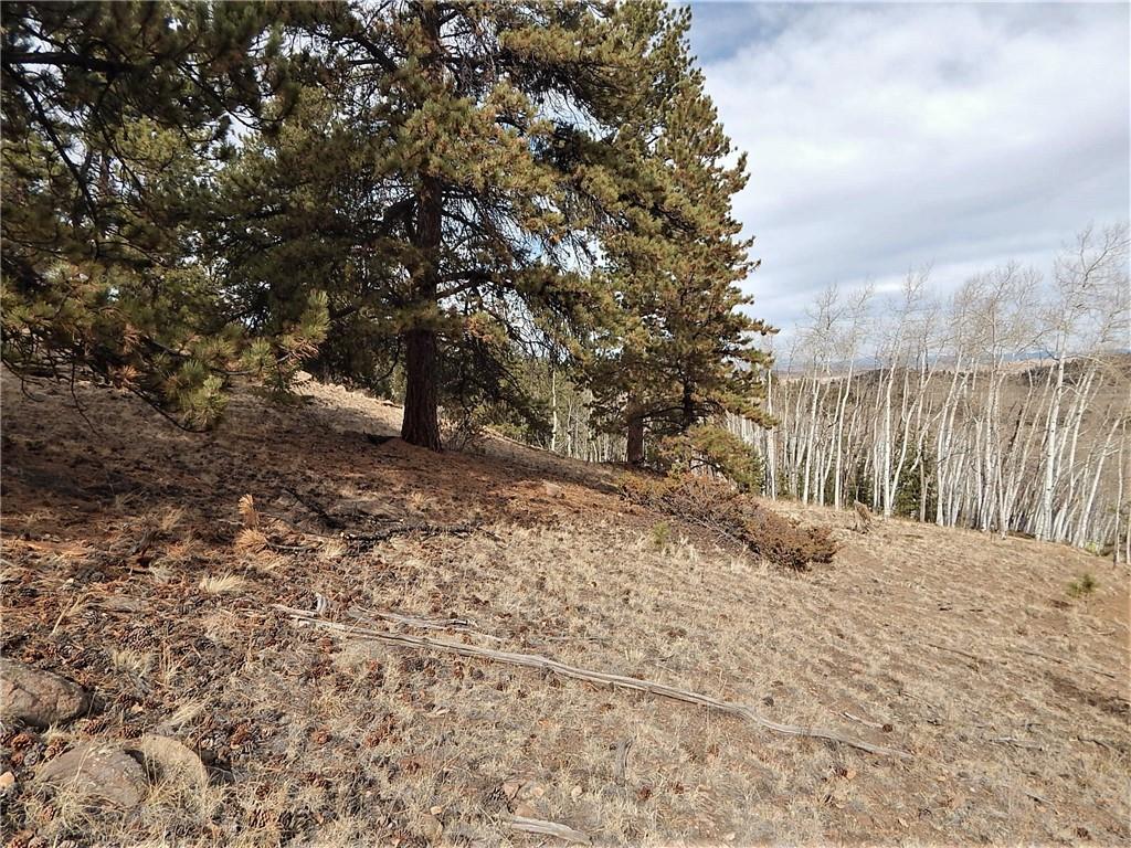 4357 Atila Road Hartsel, CO 80449 - Photo 33 of 35 Gallery Image 33