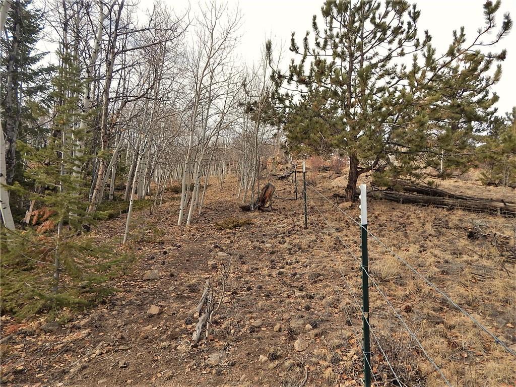4357 Atila Road Hartsel, CO 80449 - Photo 9 of 35 Gallery Image 9