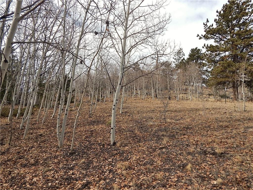 4357 Atila Road Hartsel, CO 80449 - Photo 10 of 35 Gallery Image 10