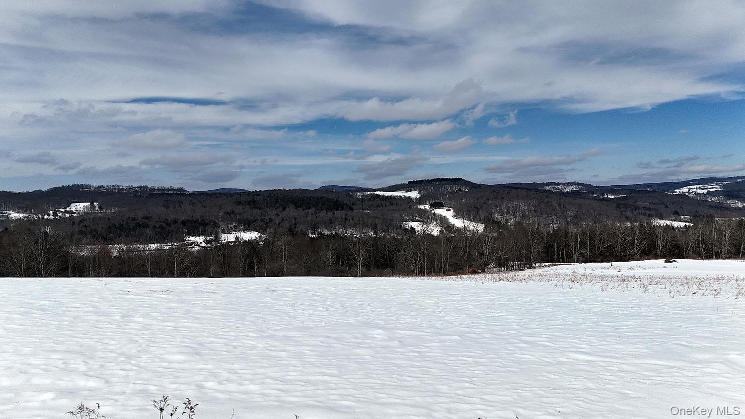 Hubert Road Jeffersonville, NY 12748 - Photo 1 of 14 a view of swimming pool and mountain