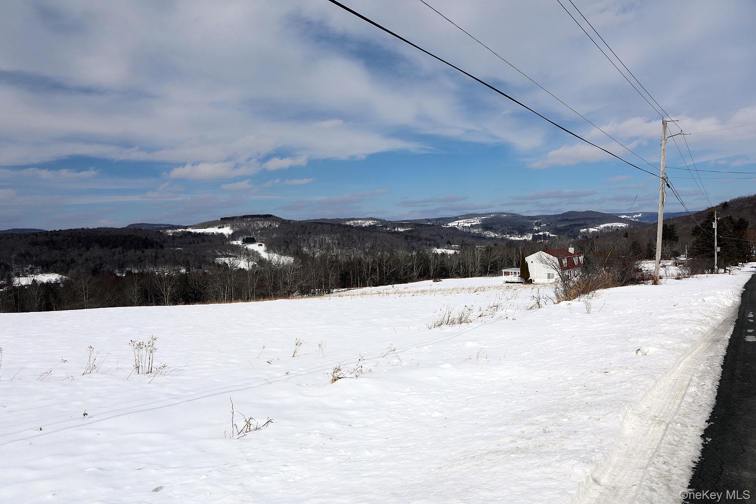 Hubert Road Jeffersonville, NY 12748 - Photo 6 of 14 a swimming pool view with mountains in the background