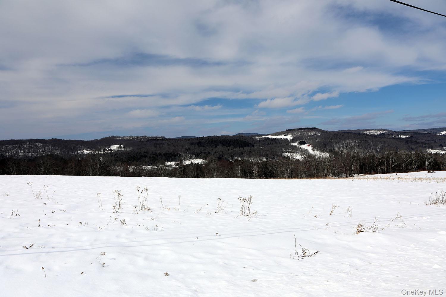 Hubert Road Jeffersonville, NY 12748 - Photo 7 of 14 a view of yard covered with snow