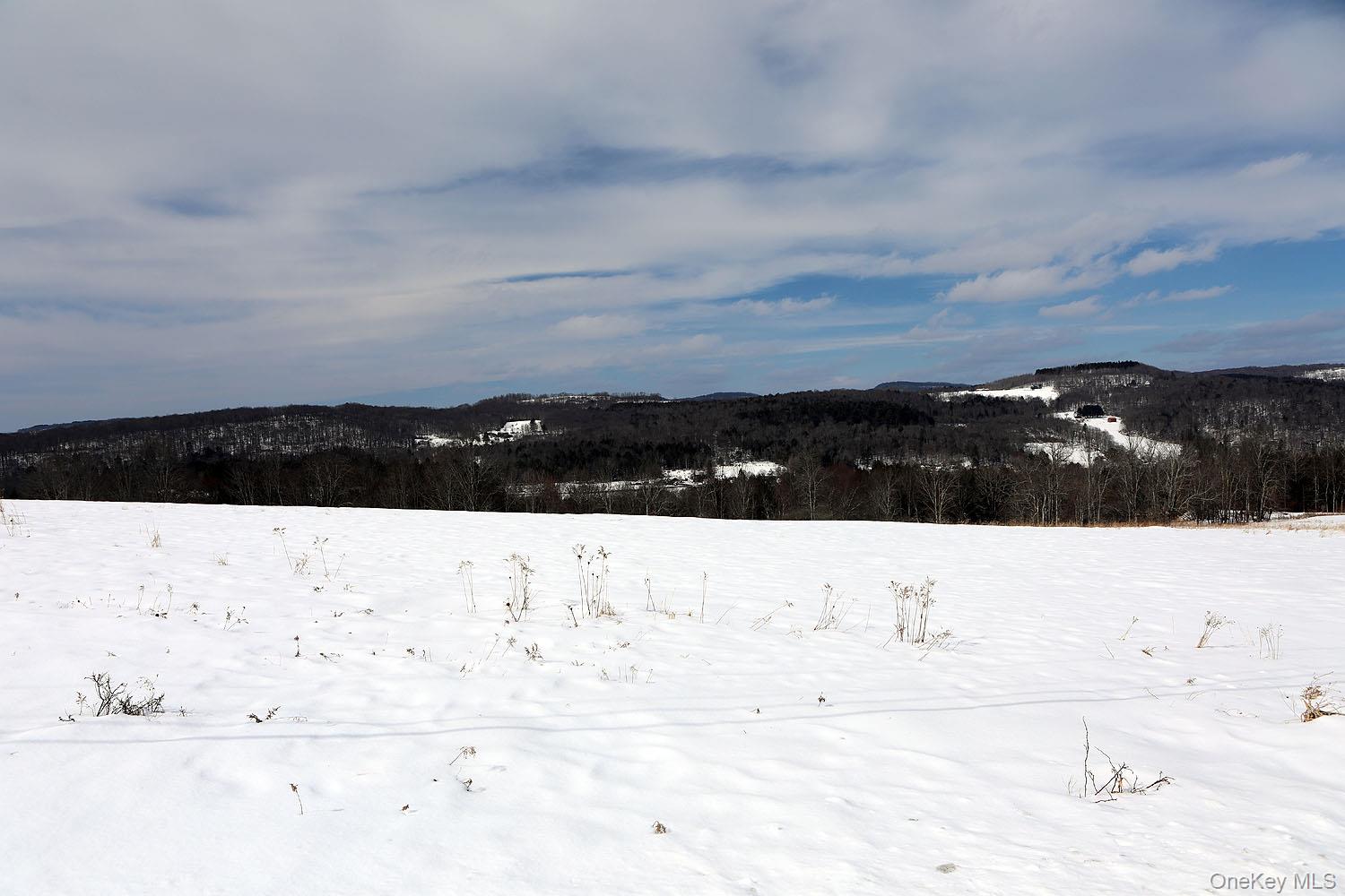 Hubert Road Jeffersonville, NY 12748 - Photo 8 of 14