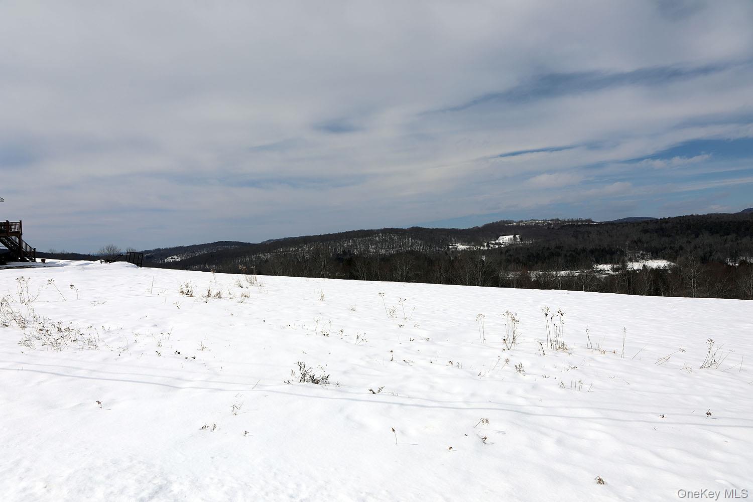 Hubert Road Jeffersonville, NY 12748 - Photo 9 of 14