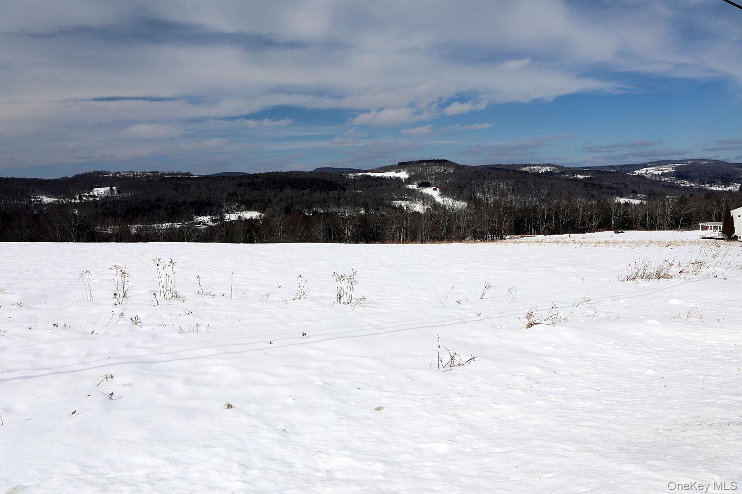 Hubert Road Jeffersonville, NY 12748 - Photo 10 of 14 a view of beach and ocean