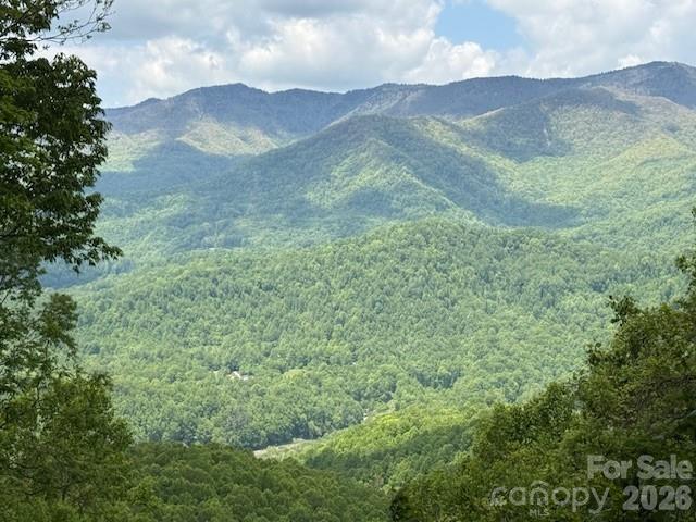 768 Boar Rdg Road, Unit 121 Sylva, NC 28779 - Photo 2 of 25 Gallery Image 2