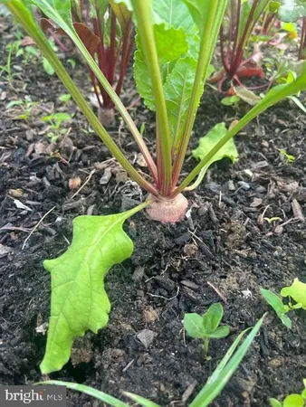 $1,775,000 | 13519 Allnutt Lane, Highland, MD 20777