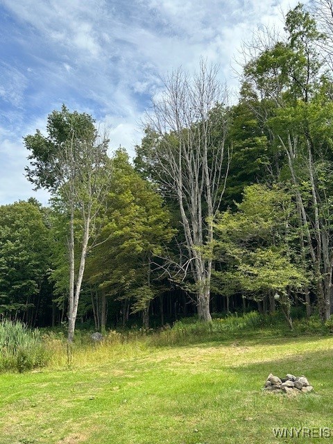 8402 Kingsbury Hill Road Farmersville, NY 14737 - Photo 26 of 33 Outdoor Fire Pit