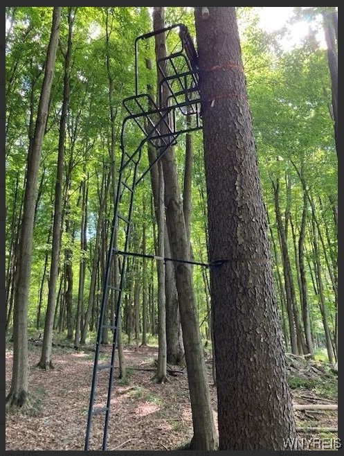 8402 Kingsbury Hill Road Farmersville, NY 14737 - Photo 28 of 33 Treestand