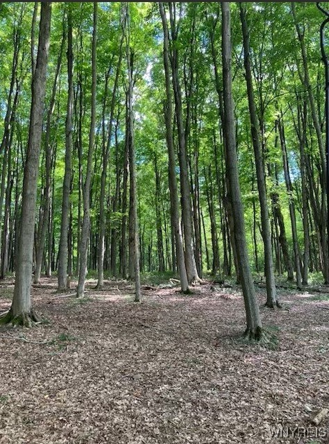 8402 Kingsbury Hill Road Farmersville, NY 14737 - Photo 29 of 33