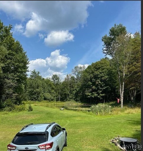 8402 Kingsbury Hill Road Farmersville, NY 14737 - Photo 30 of 33 Plenty of Parking