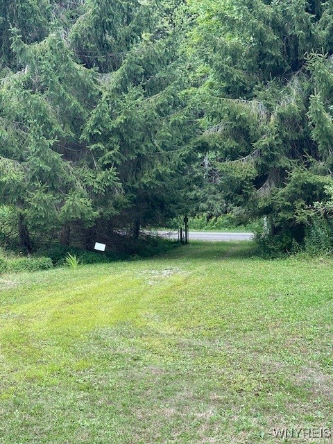 8402 Kingsbury Hill Road Farmersville, NY 14737 - Photo 3 of 33 Entrance