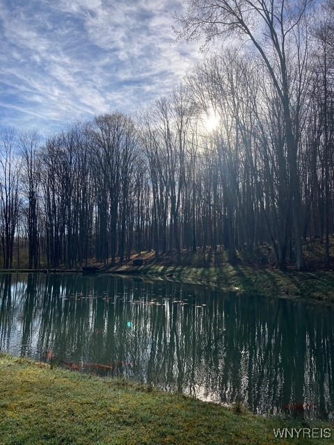 8402 Kingsbury Hill Road Farmersville, NY 14737 - Photo 31 of 33 Winter photo