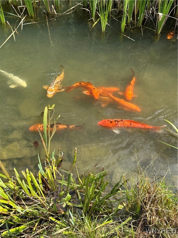 8402 Kingsbury Hill Road Farmersville, NY 14737 - Photo 7 of 33