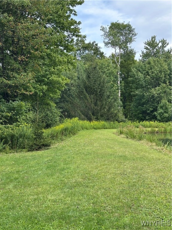 8402 Kingsbury Hill Road Farmersville, NY 14737 - Photo 8 of 33 Nice path for strolling