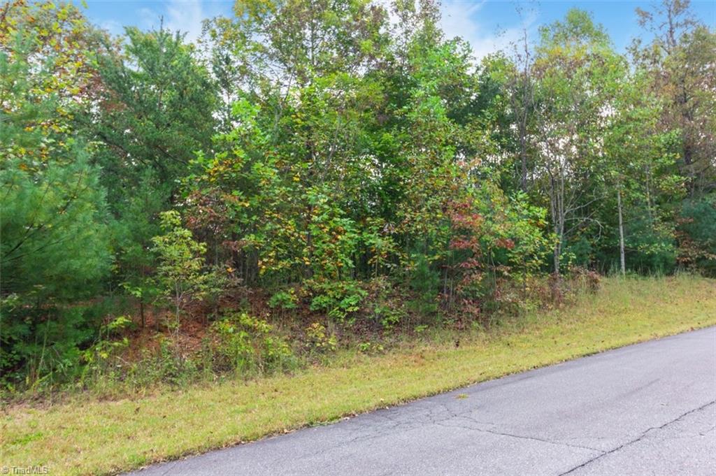 0 Ridge Run Road, Unit LOT 84 Boomer, NC 28606 - Photo 4 of 5