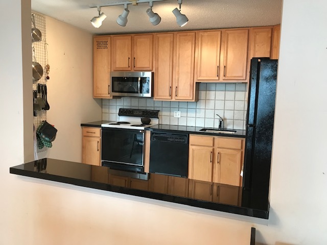 3150 North Sheridan Road, Unit 22C Chicago, IL 60657 - Photo 9 of 34