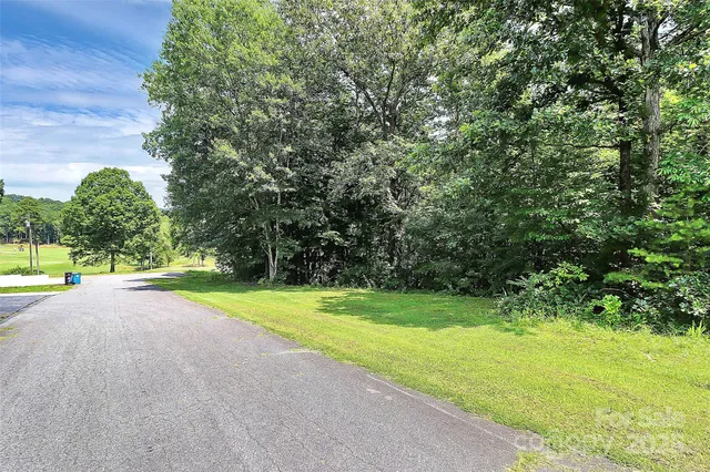 a view of a yard with a trees