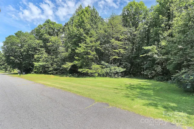 a view of a yard with a tree