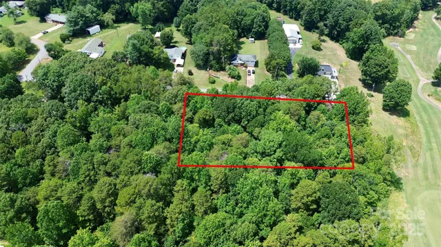 an aerial view of a house with a yard and large trees