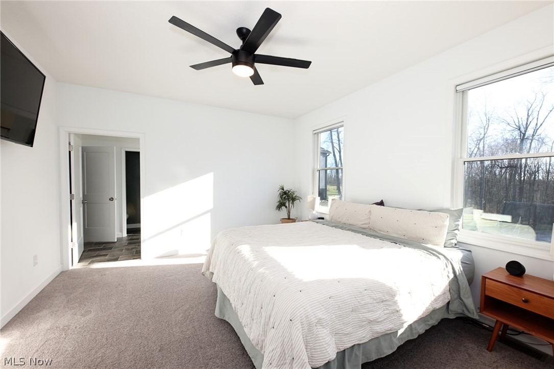 258 Friendly Acres Road Wellsburg, WV 26070 - Photo 10 of 47 Bedroom featuring carpet and a ceiling fan