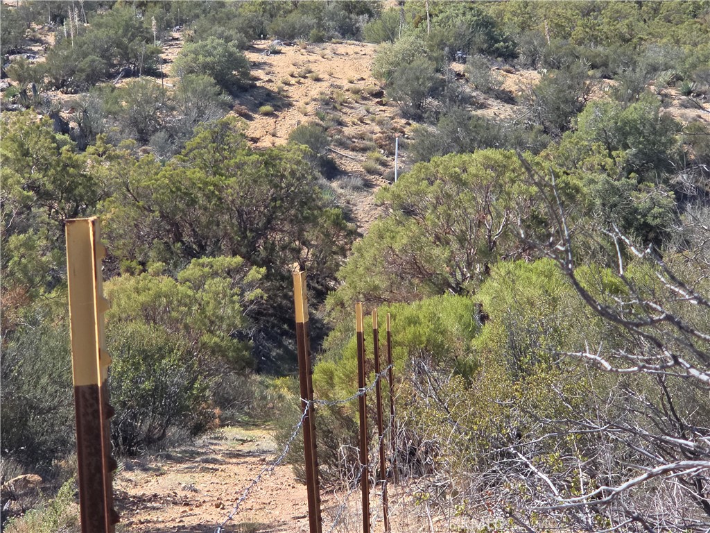 0 Taron Trail Anza, CA 92539 - Photo 6 of 14