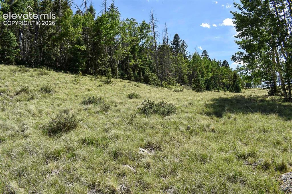 0 Bear Cat Road Guffey, CO 80820 - Photo 17 of 40