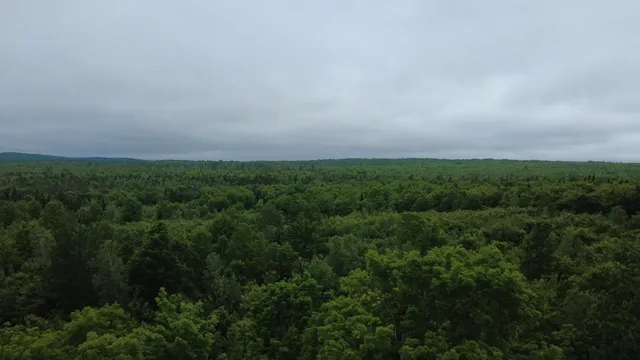 $32,000 | Lot 25 Aurora Road, Springfield, ME 04487