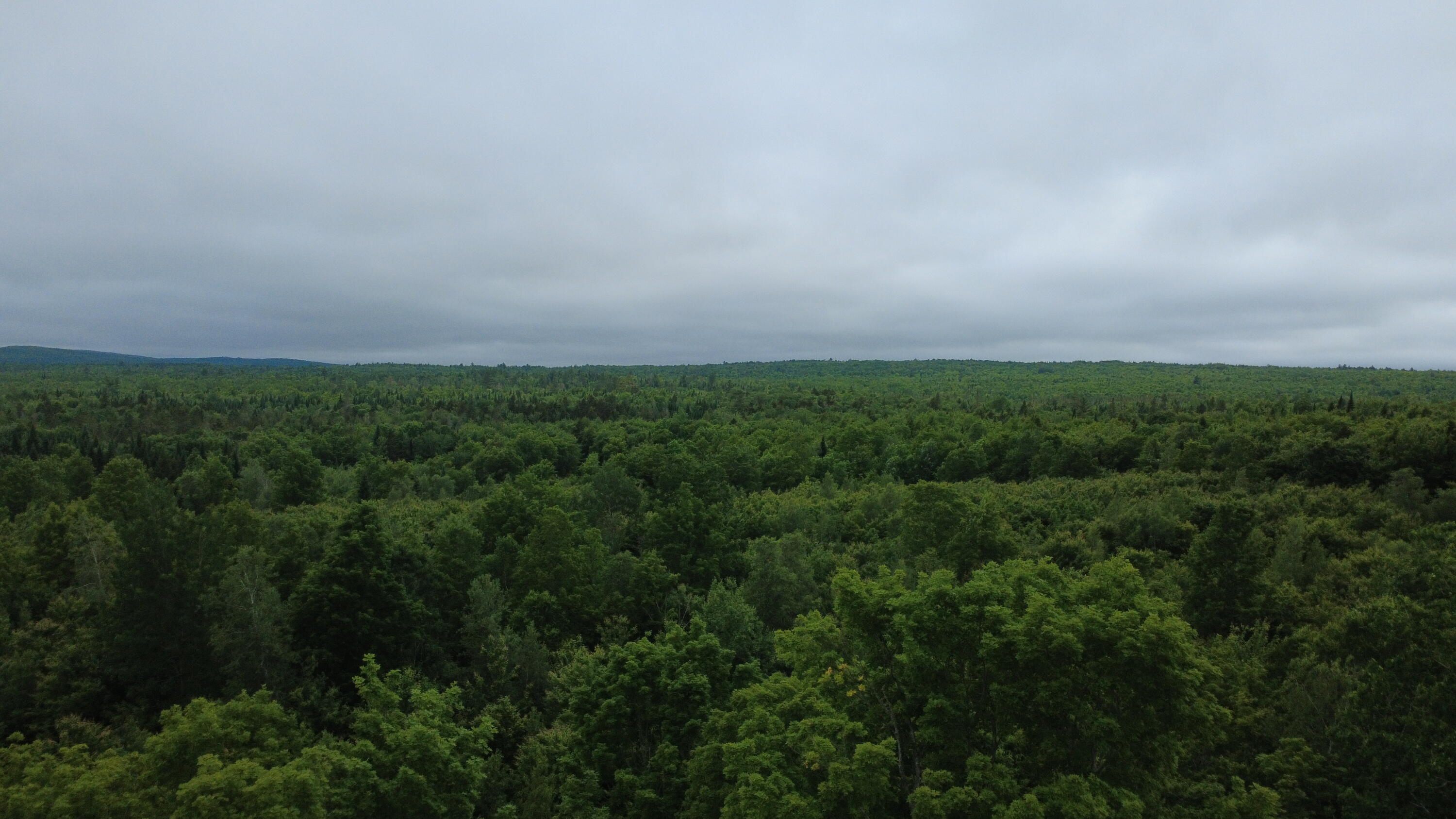 Lot 25 Aurora Road Springfield, ME 04487 - Photo 2 of 6 Aerial