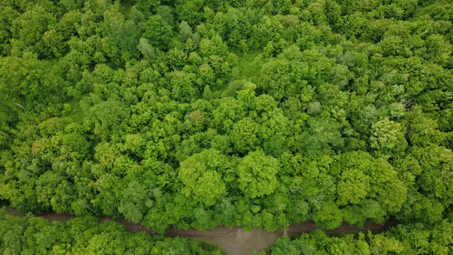 $32,000 | Lot 25 Aurora Road, Springfield, ME 04487