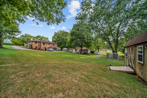 a view of a park with large trees