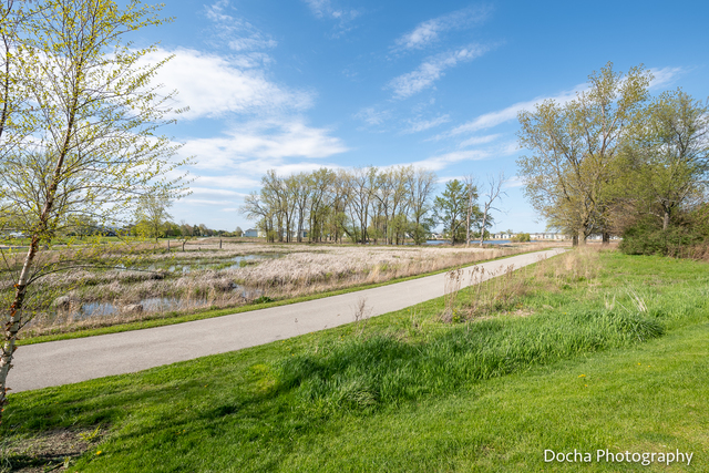 2447 Golf Ridge Circle Naperville, IL 60563 - Photo 22 of 22