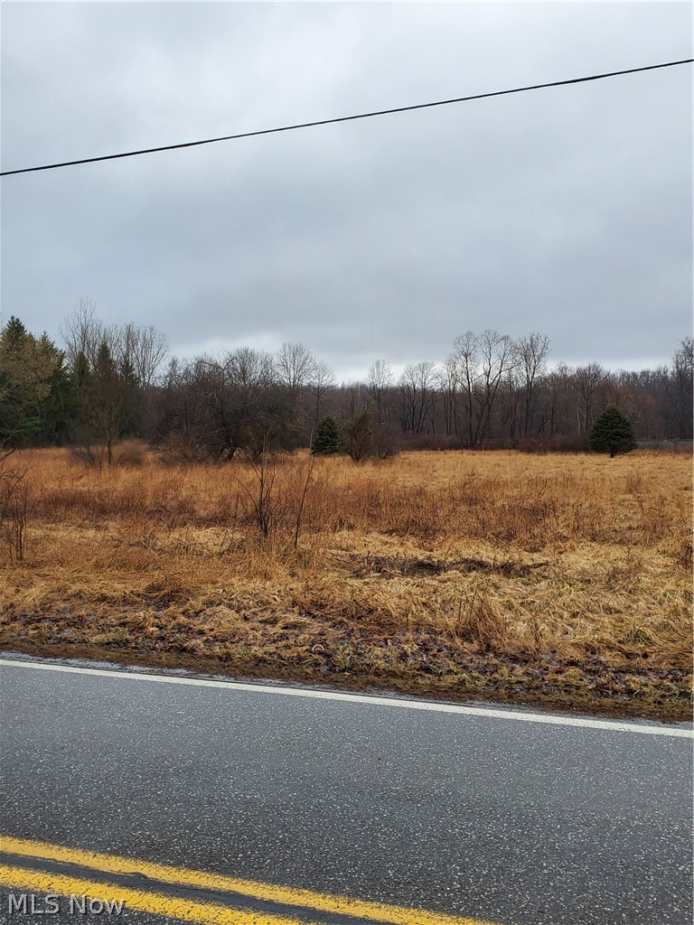 2603 Brady Lake Road Ravenna, OH 44266 - Photo 1 of 3