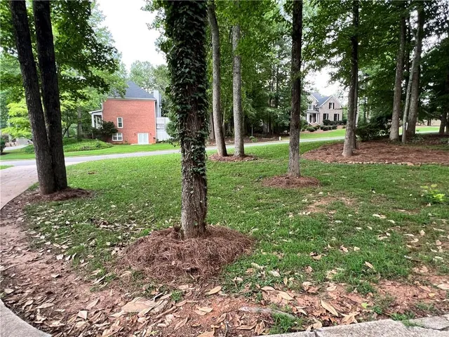 a view of a park with large trees