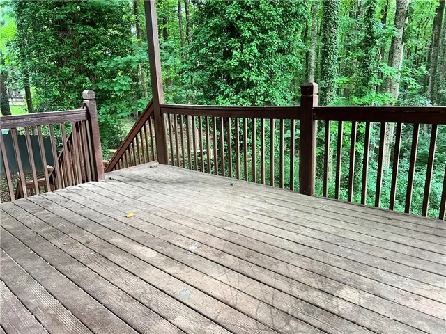 a view of a forest with trees