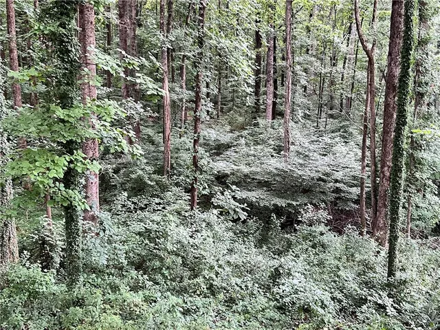 a refrigerator in a kitchen