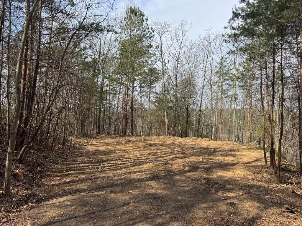 1450 Hanna Drive Ranger, GA 30734 - Photo 2 of 27