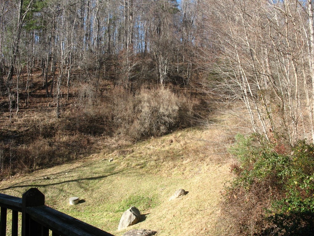 1345 Clito Road Fries, VA 24330 - Photo 30 of 41 Gallery Image 30