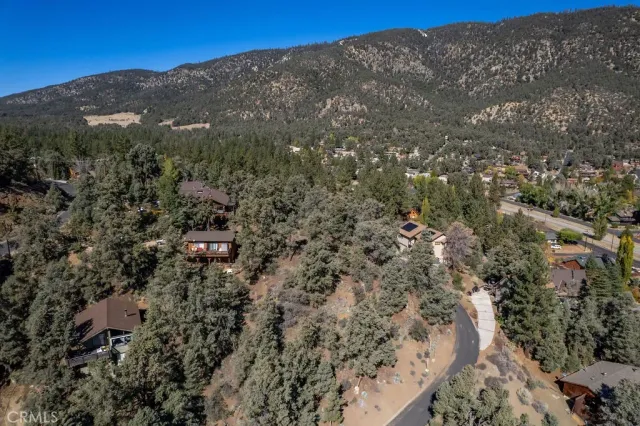 a view of a forest with mountains in the background