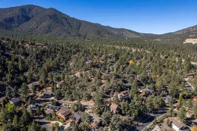 a view of a forest with mountains in the background