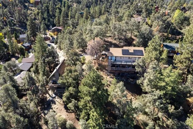 a view of a lush green forest with mountains in the background